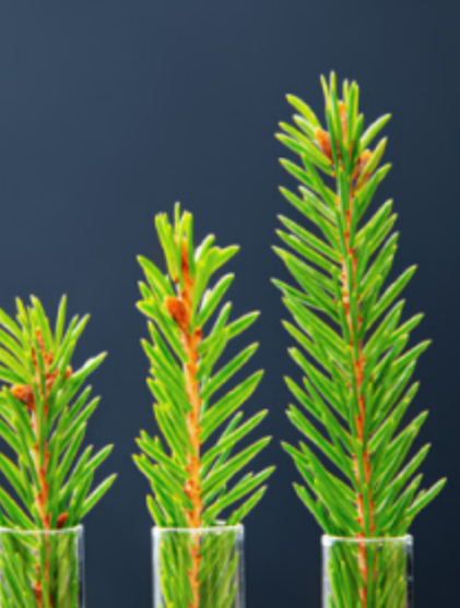 Proptech-Latam-Connection-Guía-y-Diccionario-de-Sostenibilidad