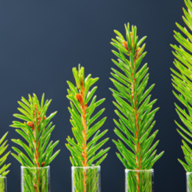 Proptech-Latam-Connection-Guía-y-Diccionario-de-Sostenibilidad