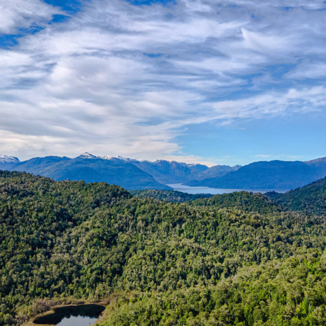 Proptech-Latam-Connection-mercado-de-carbono